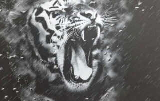 tygrys 1 ca